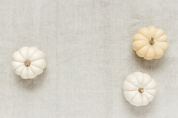 Image showing White Baby Boo pumpkins on canvas background