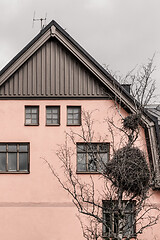 Image showing Huge bird nest in front of a pink house