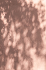 Image showing Shadow of leaves on a pink wall