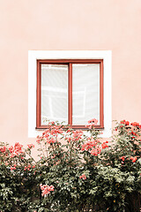 Image showing Flowers decorating window of a pink building