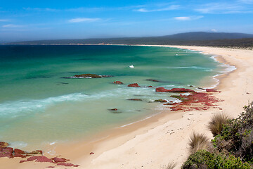 Image showing Beautiful beaches of Eden coast