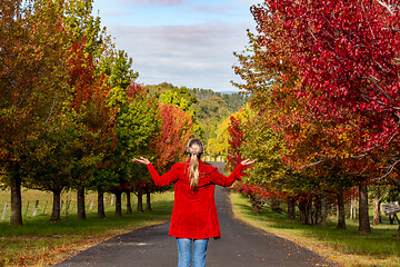 Image showing Woman stands among the rows of deciduous trees in Autumn