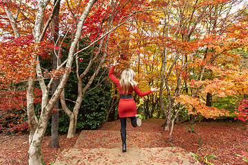 Image showing Running through the garden during Autumn