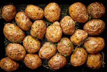 Image showing Oven baked whole potatoes with seasoning and herbs in metalic tr