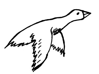 Image showing goose