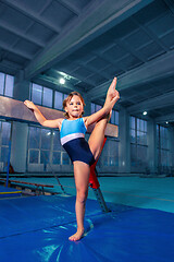 Image showing beautiful girl is engaged in sports gymnastics on a log