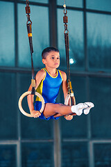 Image showing Full length rearview shot of a male athlete performing pull-ups on gymnastic rings.