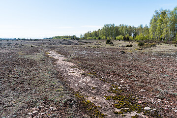 Image showing Open limestone bedrock in a barren landscape