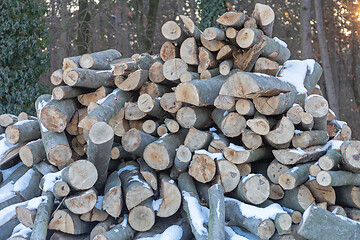 Image showing Firewood Logs