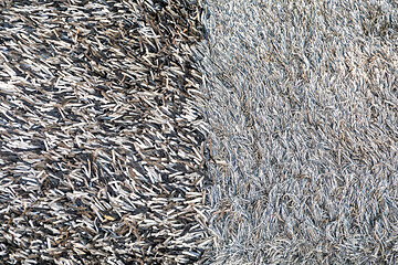 Image showing Shaggy Carpets