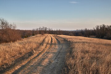 Image showing Countriside dirt road landscape, pale autumn