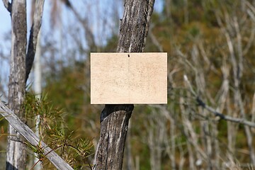 Image showing Blank sign in a forest, add your own text