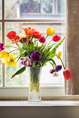 Image showing Multicolored tulips in a vase,