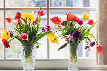 Image showing Multicolored tulips in a vase,