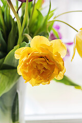 Image showing Yellow tulip in a vase