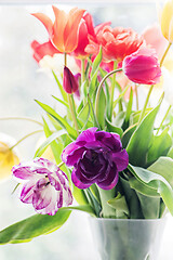 Image showing Multicolored tulips in a vase,