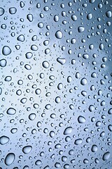 Image showing Shiny Water Droplets