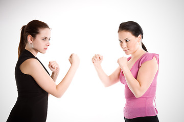 Image showing Businesswomen fighting