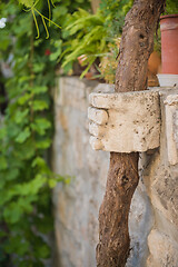 Image showing Ancient stone construction with tree trunk