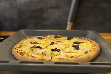 Image showing Baked quattro formaggi pizza in rectangular oven griddle.