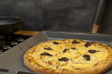 Image showing Baked quattro formaggi pizza in rectangular oven griddle.