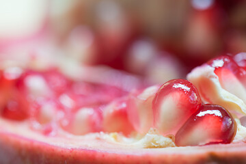 Image showing Macro shooting of pomegranate grains