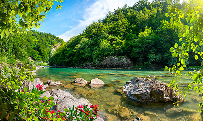 Image showing Mountains and the Tara river