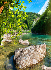 Image showing Tara river Montenegro