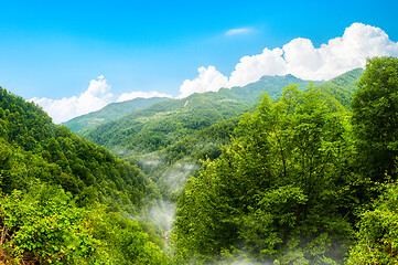 Image showing Durmitor National park Montenegro