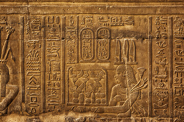 Image showing Hieroglyphic carvings in ancient temple