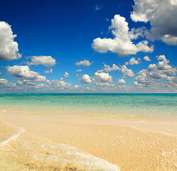 Image showing white sandy sea spit beach