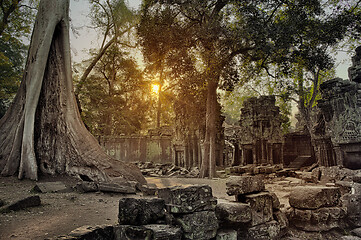 Image showing Ta Prohm temple in Angkor Wat Cambodia