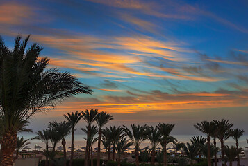 Image showing palms and sea on resort before sunrise