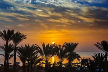 Image showing palms and sea on resort before sunrise