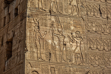 Image showing Hieroglyphic carvings in ancient temple