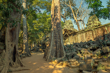 Image showing Ta Prohm temple in Angkor Wat Cambodia