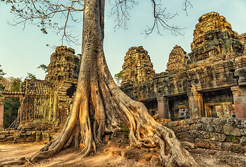 Image showing Roots covering the ruin of Ta Prohm temple