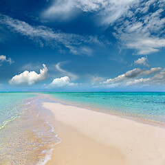 Image showing white sandy sea spit beach leading into ocean