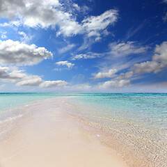 Image showing white sandy sea spit beach leading into ocean