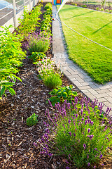 Image showing Garden with fresh new lawn, bark mulch area to reduce weed growth and your plants