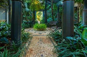 Image showing Shade garden for shade loving plants and trees