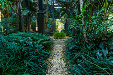 Image showing Shade garden for shade loving plants and trees