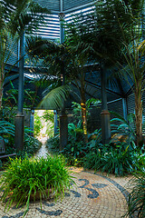 Image showing Shade garden for shade loving plants and trees