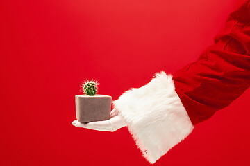 Image showing Hand of Santa Claus holding an cactus plant on red background