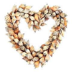 Image showing Heart Shaped Seashell Wreath