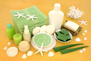 Image showing  Natural Aloe Vera Skincare Vegan Beauty Treatment