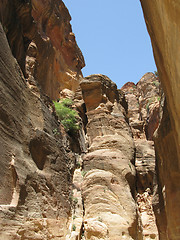 Image showing Deep canyon in Petra