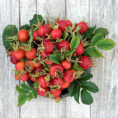 Image showing Rosehip Berry Fruit Health Food