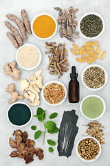 Image showing Herbal Medicine to Treat Irritable Bowel Syndrome.