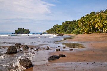 Image showing Palm trees and rainforest on the sandy ocean beach